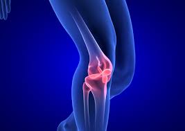 knee pain specialist